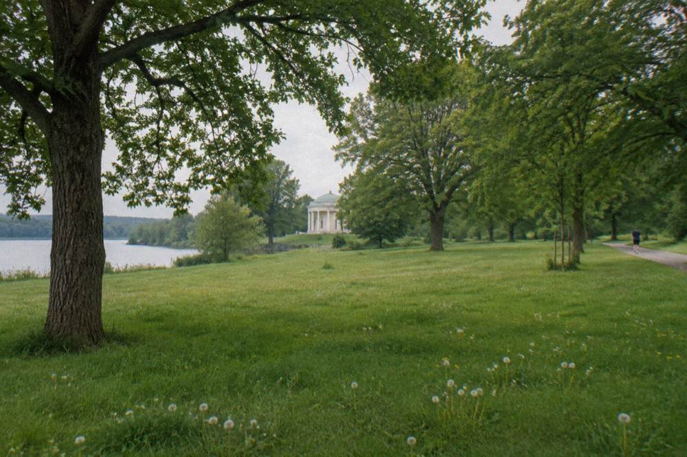 A wide green lawn in Hagaparken in Stockholm with mature trees and a classical pavilion in the distance
