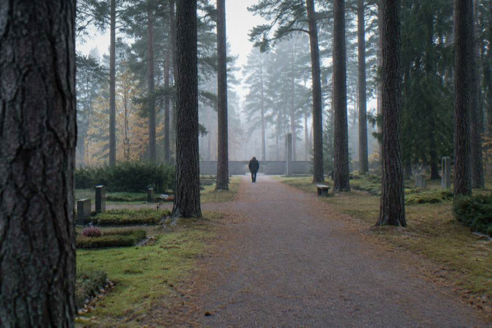 A gravel path leading through tall pine trees toward a low stone wall at Skogskyrkogarden cemetery in Stockholm
