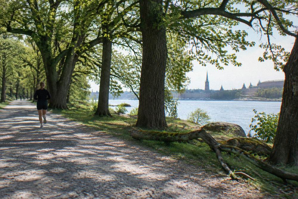 A tree-lined gravel path on Djurgarden island in Stockholm with water glimpsed between the trees