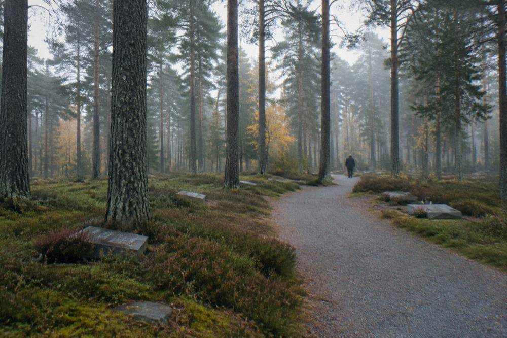 A quiet wooded path at Skogskyrkogården cemetery in Stockholm with granite gravestones among tall pines